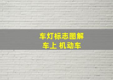 车灯标志图解 车上 机动车